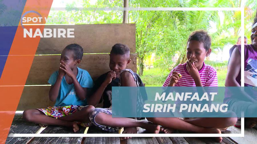 Mengenal Manfaat Sirih Pinang, Desa Sima Nabire