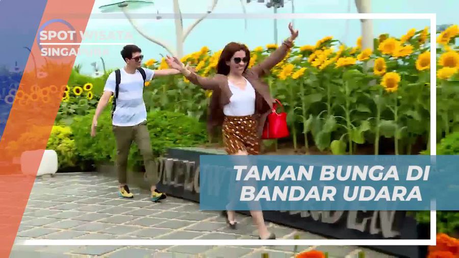 Nuansa Asri dan Alami Taman Bunga di Changi Airport Singapura