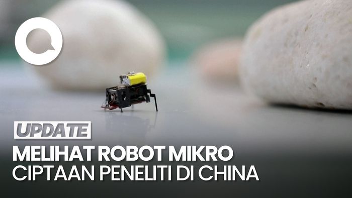 Wujud Robot Mini Kecoa yang Bisa Lakukan Penyelamatan