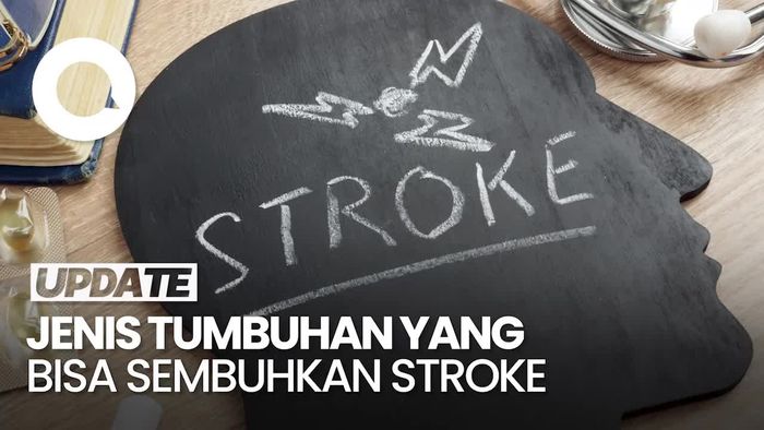 Jenis Tumbuhan yang Bisa Atasi Stroke, Banyak Tersebar di Indonesia