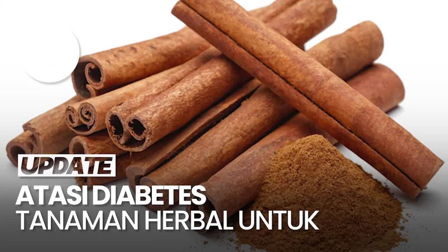Khasiat Kumis Kucing hingga Temulawak untuk Atasi Diabetes