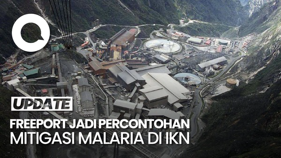 Pemerintah Contoh Freeport untuk Mitigasi Malaria di IKN