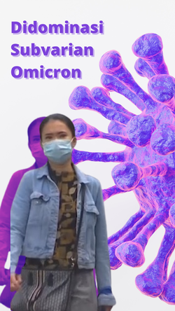 Update Kasus Covid-19 di RI