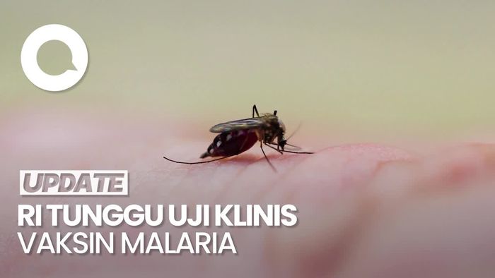 Indonesia Masih Tunggu Hasil Uji Klinis Vaksin Malaria di Thailand