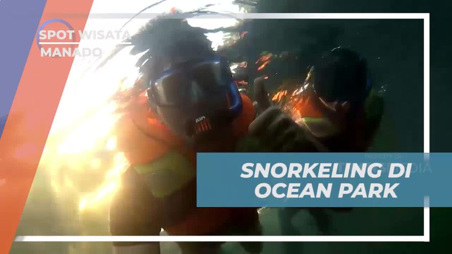 Snorkeling Asik di Ocean Park Manado
