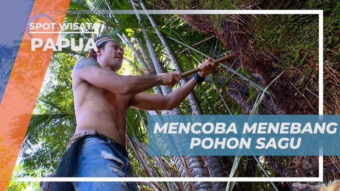 Pengalaman Seru Mencoba Menebang Pohon Sagu Bareng Suku Asmat, Papua