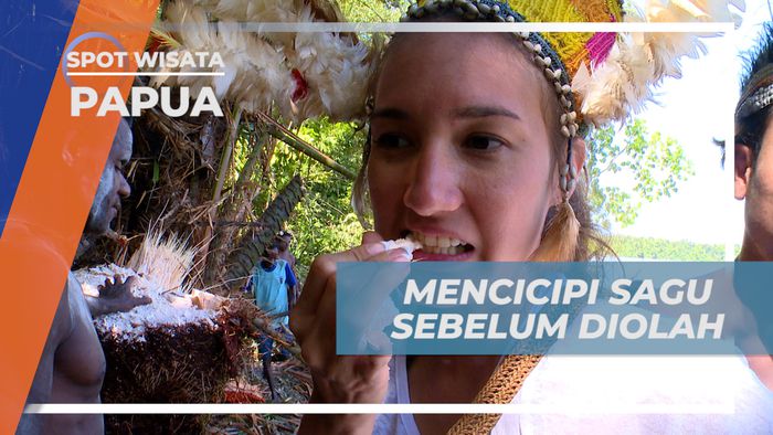 Sensasi Mencicicpi Cita Rasa Khas Pohon Sagu Sebelum Diolah, Papua