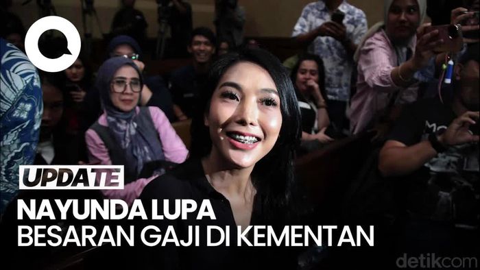 Hakim Sentil Nayunda Lupa Gaji di Kementan: Karena Terlalu Kecil Jadi Lupa Ya?