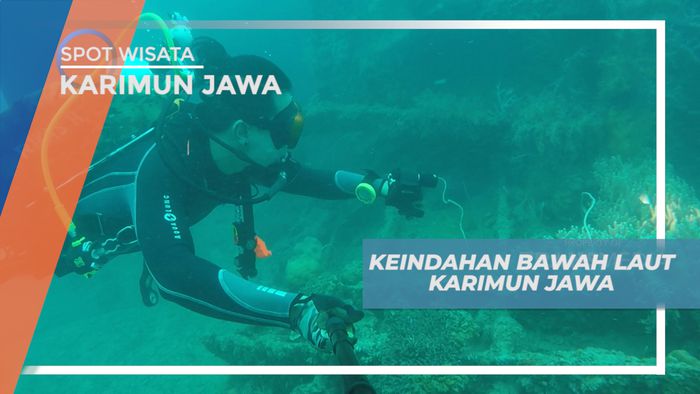 Menyelami Pesona Keindahan Surga Bawah Laut Karimun Jawa