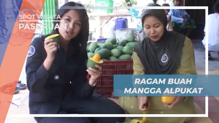 Mangga Alpukat, Mangga Unik yang Tumbuh Subur di Pasuruan