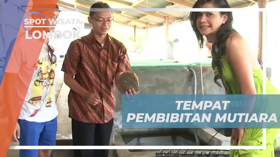 Berkunjung ke Tempat Pembibitan Mutiara di Lombok