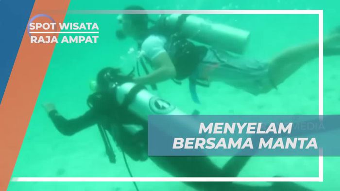 Momen Tak Terlupakan Menyelam Bersama Manta di Meos Mansaar Raja Ampat
