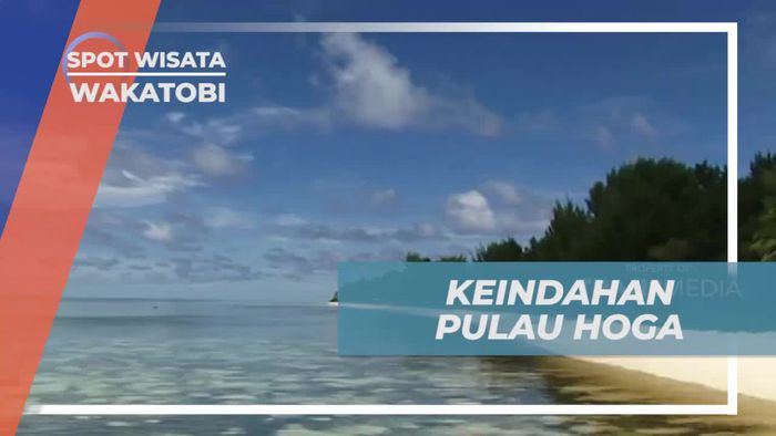 Liburan Seru Menikmati Keindahan Pulau Hoga Wakatobi