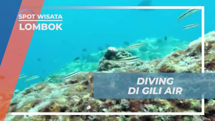 Diving Seru Menikmati Keindahan Bawah Laut Gili Air Lombok