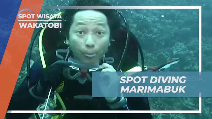 Marimabuk, Spot Diving Dengan Keindahan Biota Laut Wakatobi