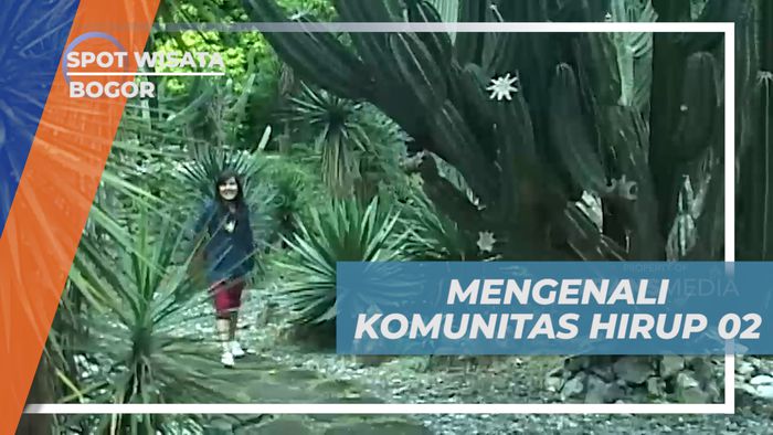 Mengenal dan Beraktivitas Bareng Komunitas Hirup O2 di Kebun Raya Bogor