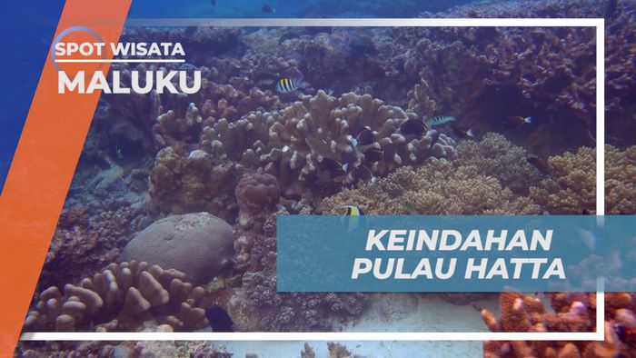 Melihat Dari Dekat Keindahan Pulau Hatta Banda Neira