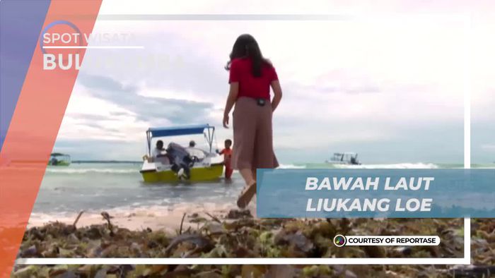 Snorkeling Seru Menikmati Keindahan Bawah Laut Liukang Loe, Bulukumba