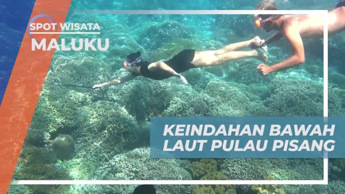 Snorkeling Seru Menikmati Keindahan Bawah Laut Pulau Pisang, Banda Neira