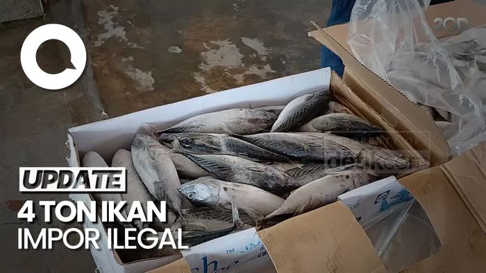 PSDKP Batam Amankan 4 Ton Ikan Impor Ilegal Asal Malaysia
