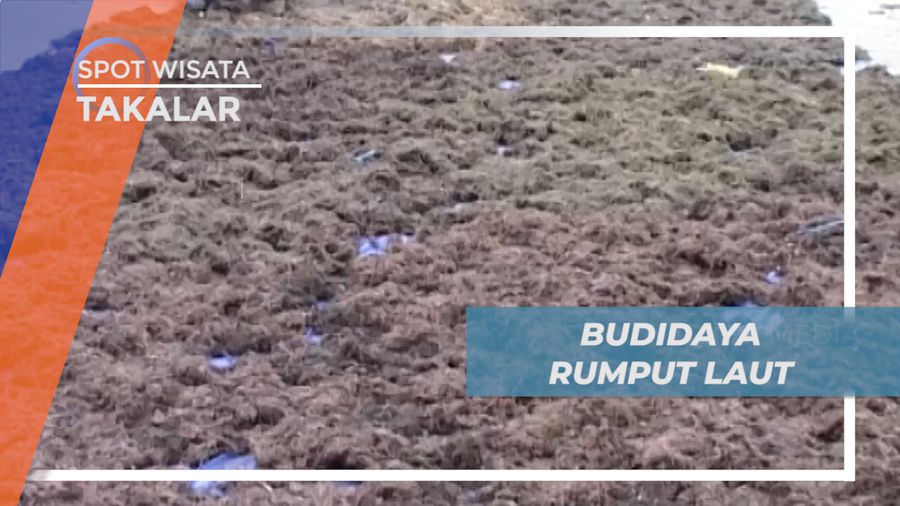 Melihat dari Dekat, Proses Pengolahan Rumput Laut di Desa Ujungbaji, Takalar