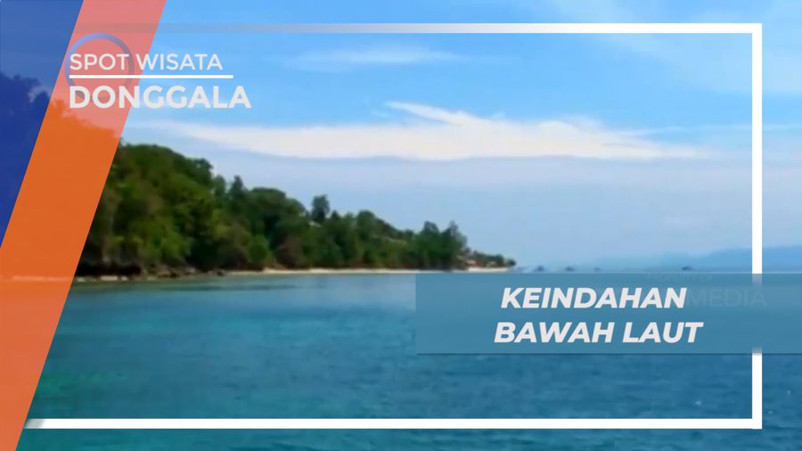 Mengintip Pesona Keindahan Bawah Laut Pantai Tanjung Karang, Donggala