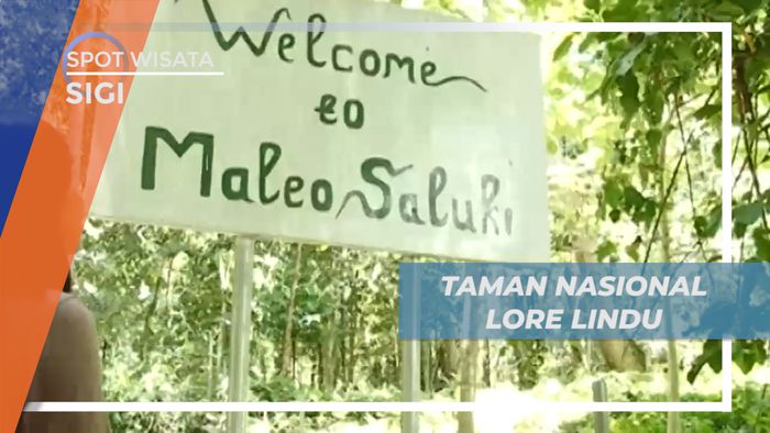 Menjelajahi Rumah Bagi Burung Maleo di Taman Nasional Lore Lindu, Sigi