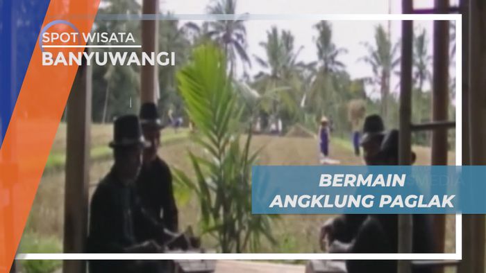 Angklung Paglak, Tradisi Budaya Menjelang Panen Padi Khas Banyuwangi