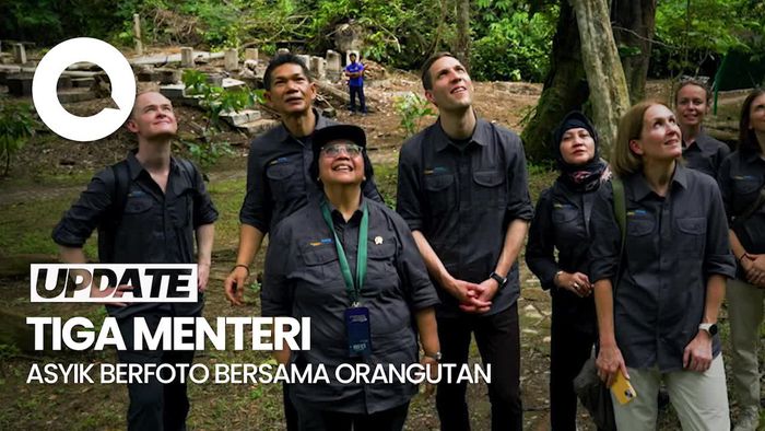 Perkuat Kerjasama RI-Norwegia, KLHK Ajak Menteri Iklim Norwegia Kunjungi Orangutan