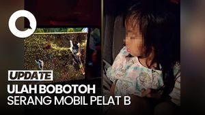 Viral Bobotoh Rusak Mobil Berpelat B Saat Ada Anak Kecil di Dalam