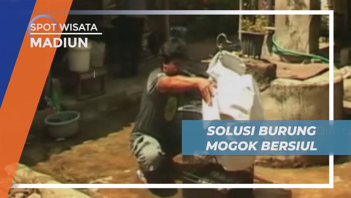 Menyambangi Bengkel Burung, Solusi Bagi Burubf yang Mogok Berkicau, Madiun