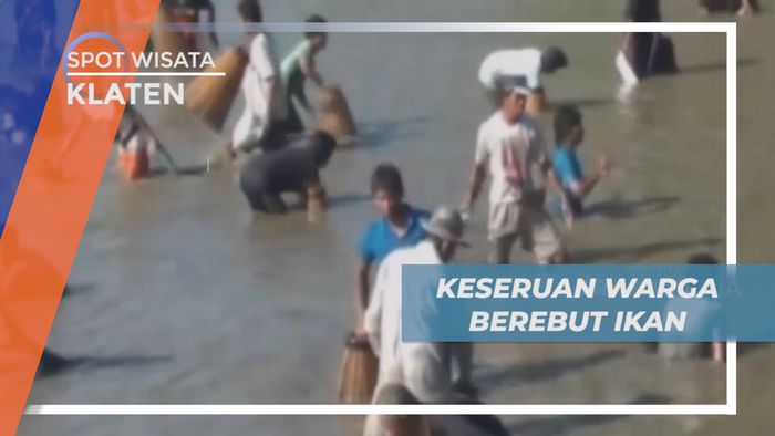 Keseruan Warga Lokal Berebut Ikan yang Keluar dari Dam, Klaten