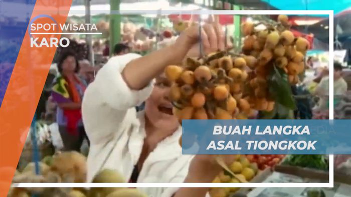 Mengenal Buah Biwa, Buah Langka Asal Tionkok yang Sangat Dicari, Karo