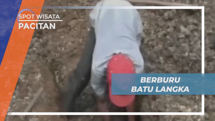 Berburu Batu Langka Berharga Istimewa di Desa Donorejo, Pacitan 