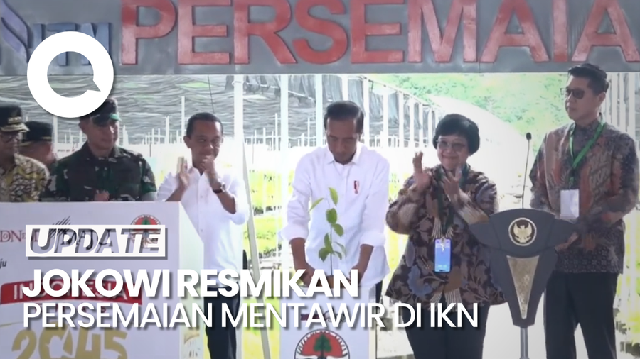 Jokowi Resmikan Persemaian Mentawir IKN, Kapasitas 15 Juta Bibit Tanaman