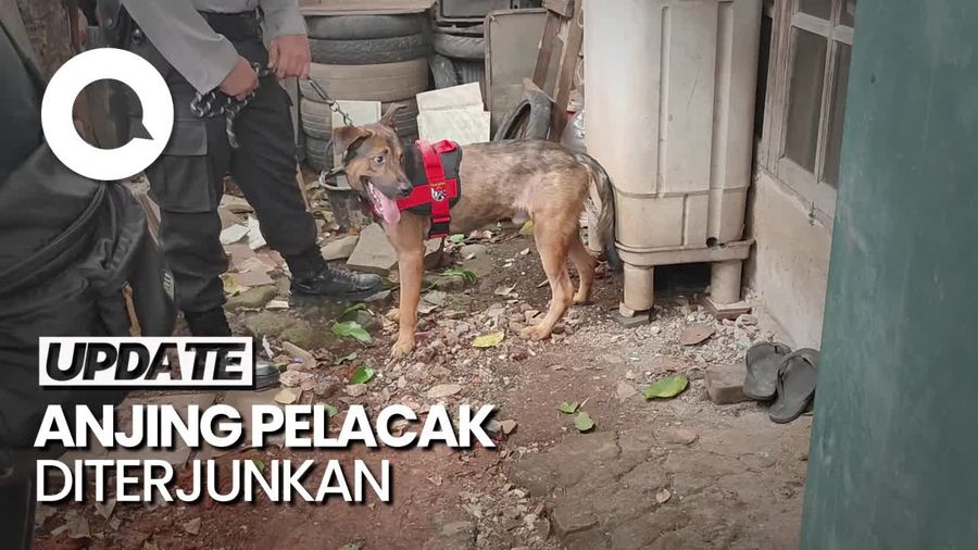 Saat Anjing Miko Diterjunkan di Kasus Pembunuhan Bocah di Bekasi