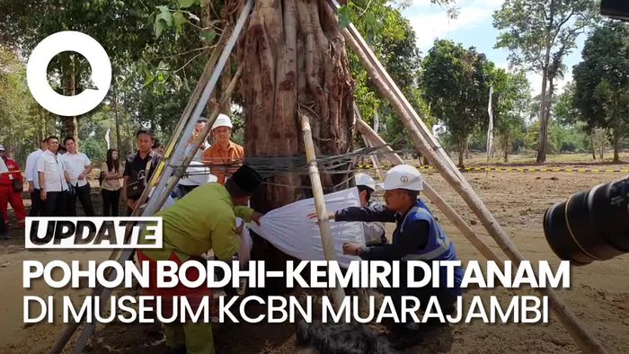 Momen Penanaman Pohon Bodhi dan Kemiri di Museum KCBN Muarajambi