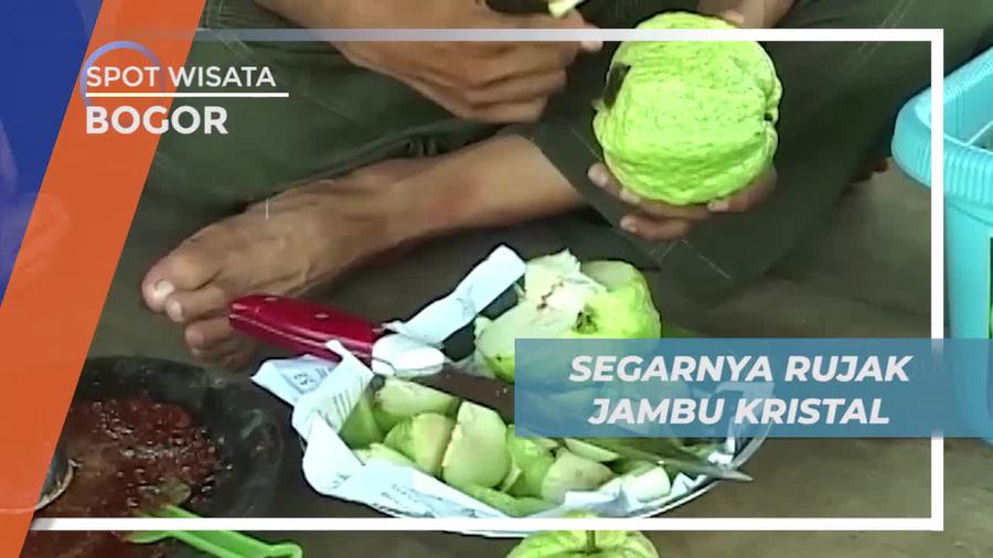 Menyantap Sensasi Segar Rujak Buah Jambu Kristal, Bogor