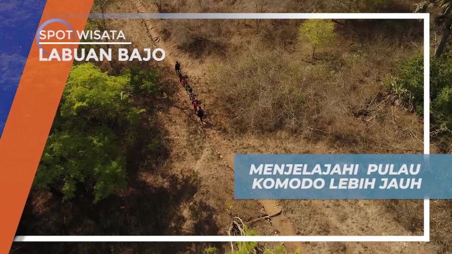 Menjelajahi Tiap Sudut Pulau Melihat Aktivitas Komodo dari Dekat, Labuan Bajo
