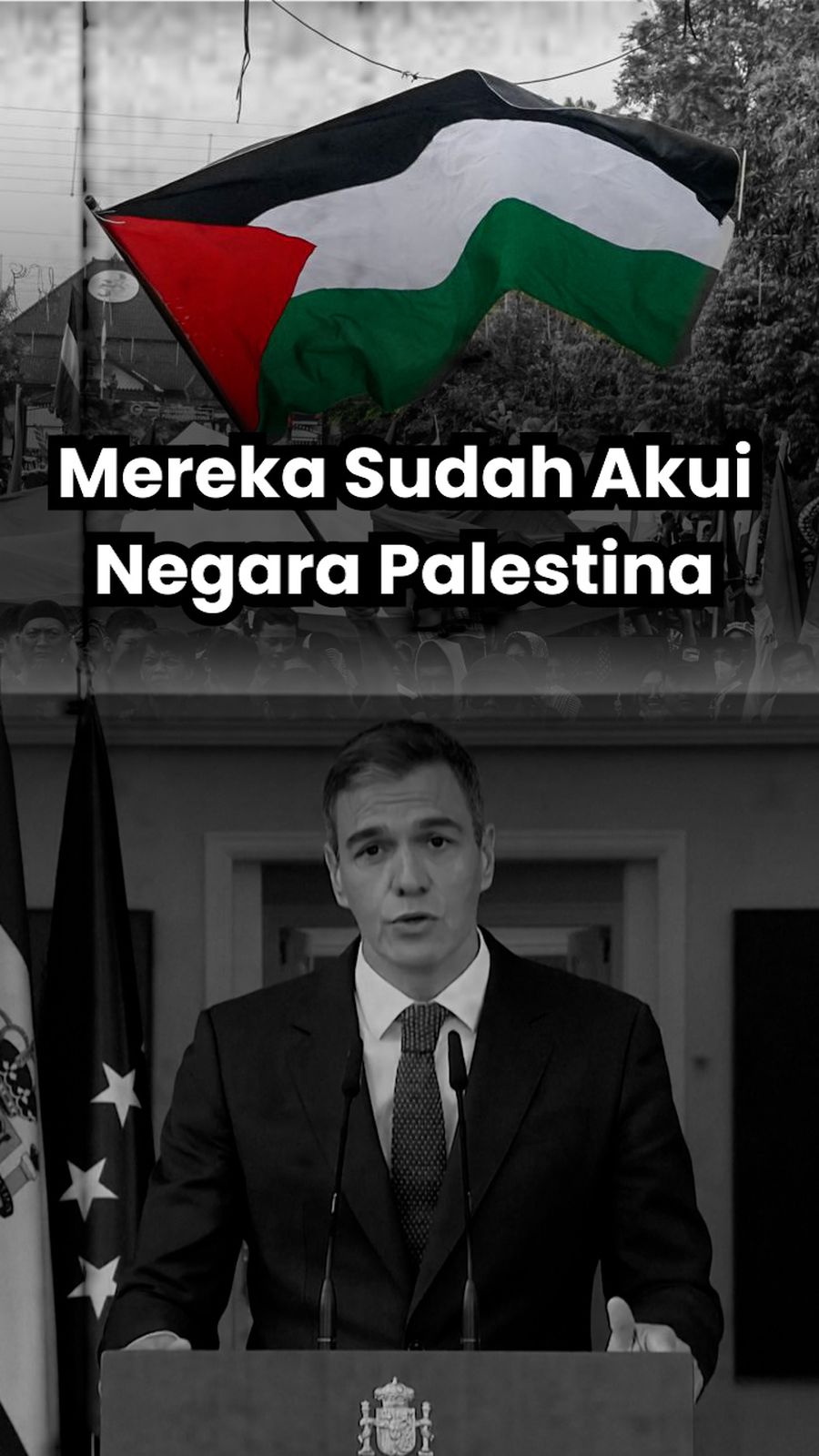 Mereka yang Telah Akui Negara Palestina