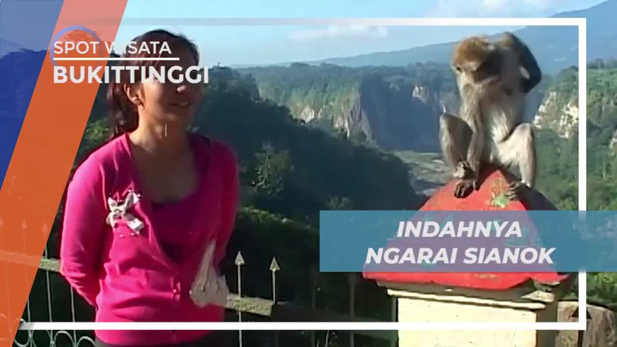 Menikmati Segarnya Udara Pagi di Ngarai Sianok, Bukittinggi