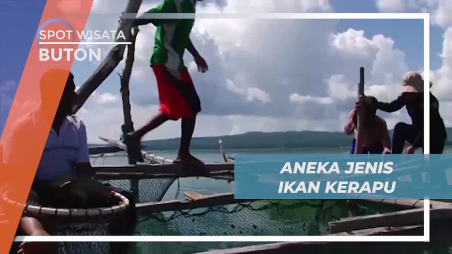 Desa Lolibu, Mengunjungi Tempat Pembudidayaan Ikan Kerapu, Buton