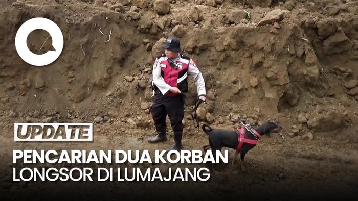 2 korban Longsor di Lumajang Belum Ditemukan, K9 Diterjunkan