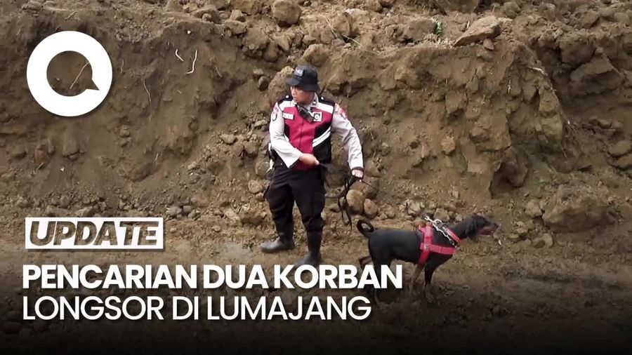 2 korban Longsor di Lumajang Belum Ditemukan, K9 Diterjunkan
