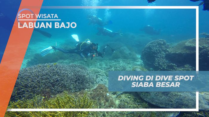 Berpetualang Mengeksplor Keindahan Spot Diving Siaba Besar, Flores
