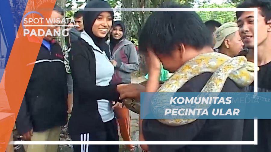 Mengenali Beragam Hewan Melata Bareng Komunitas Pecinta Reptil, Padang