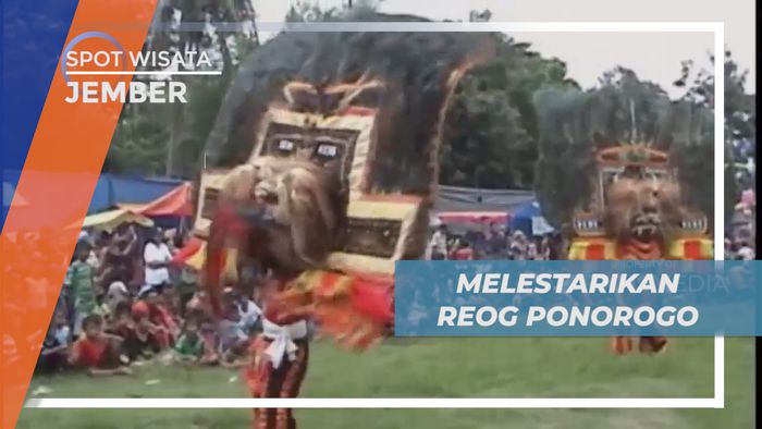 Melestarikan Budaya Lokal, Menggelar Parade Reog di 10 Kota Jawa Timur, Jember