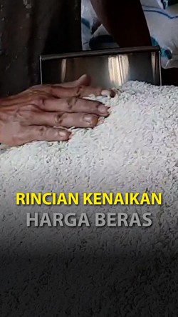 Harga Beras Naik!