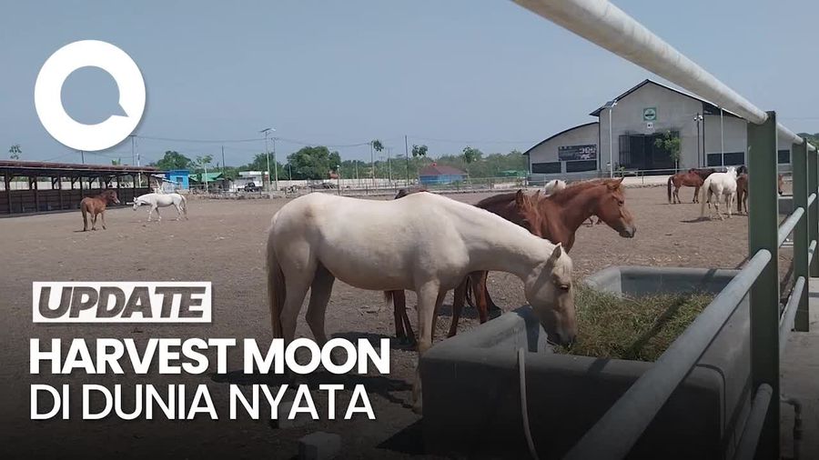 Kertajati Family & Education Park Memiliki Vibes Seperti Game Harvest Moon