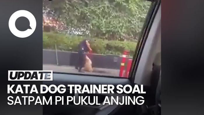 Kata Dog Trainer Soal Video Satpam Plaza Indonesia Pukul Anjing
